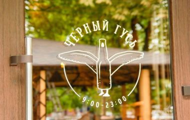 "Черный гусь" и черный Dynacord