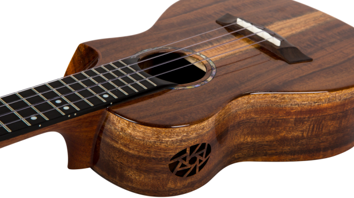 Укулеле Flight SPIRIT CONCERT EQ -A