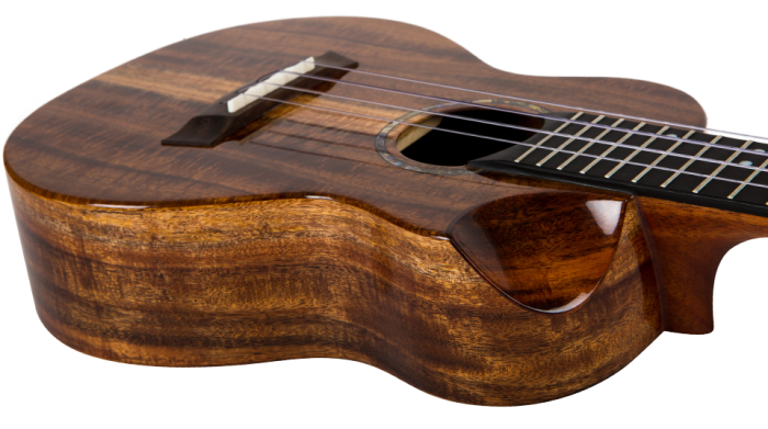 Укулеле Flight SPIRIT CONCERT EQ -A
