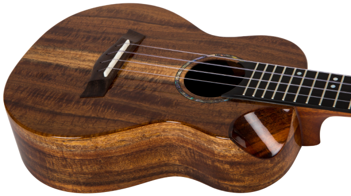 Укулеле Flight SPIRIT CONCERT EQ -A