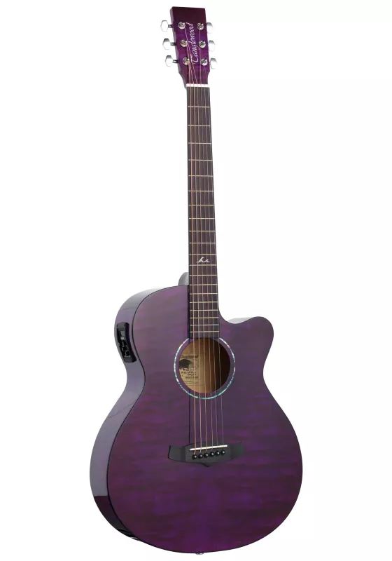 Електроакустична гітара TANGLEWOOD TA4 CE
