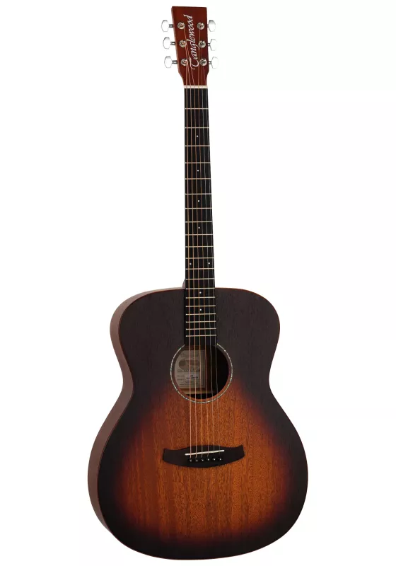 Акустична гітара TANGLEWOOD TC3