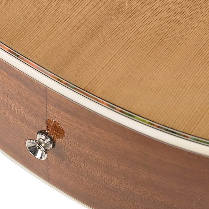 Гітара акустична Richwood RV-70-NT blues guitar