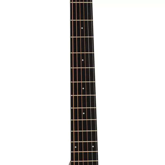 Акустична гітара TANGLEWOOD TC5