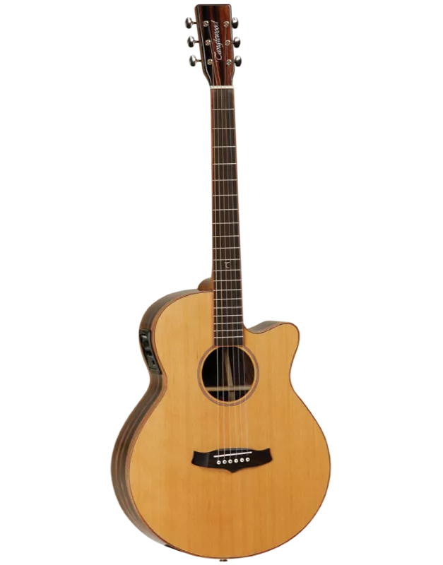 Електроакустична гітара TANGLEWOOD TJ4 CE