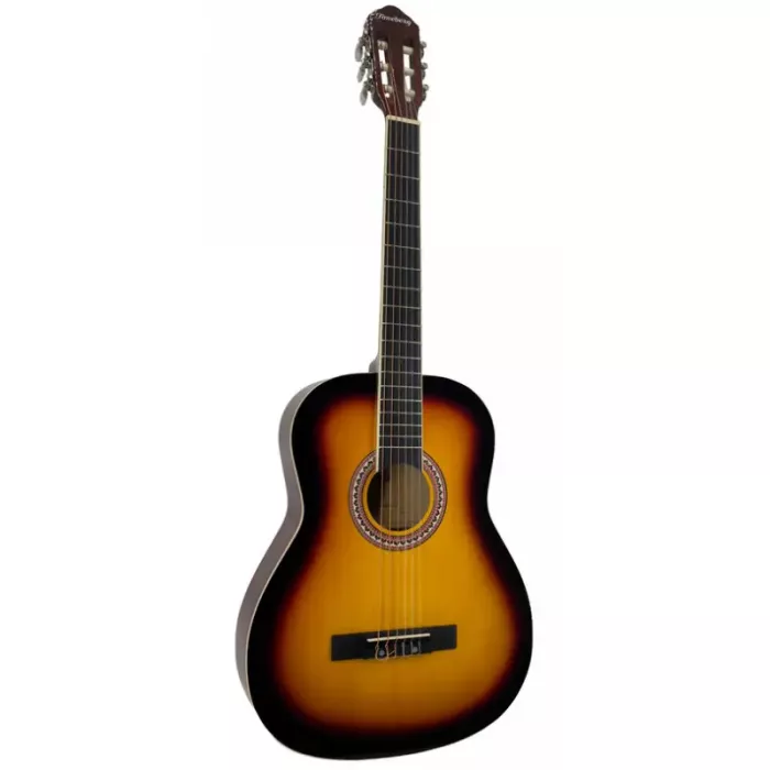 Акустическая гитара Toneberg EC3800