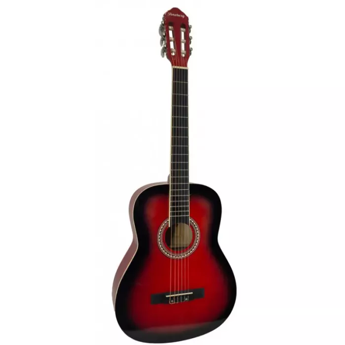 Акустическая гитара Toneberg EC3800