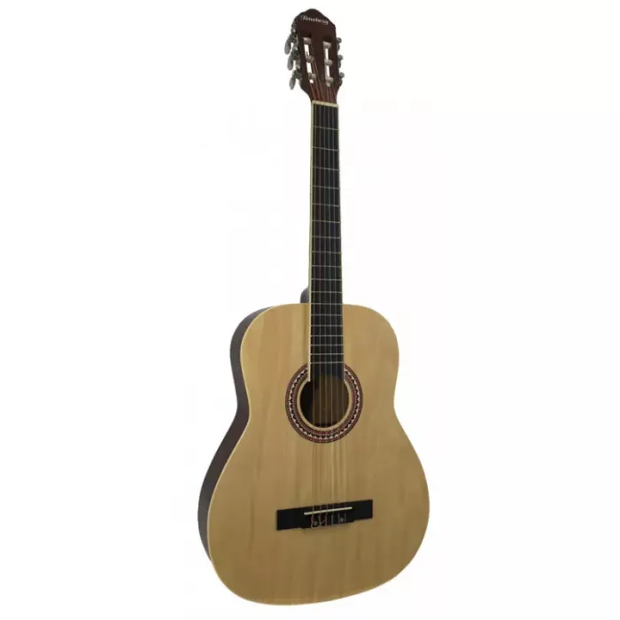 Акустическая гитара Toneberg EC3800