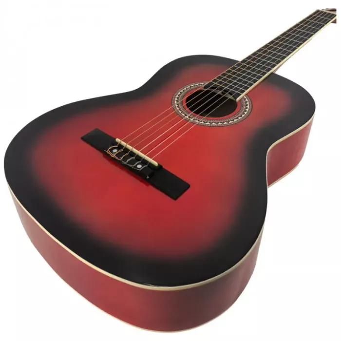 Акустична гітара Toneberg EC3900