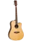 Електроакустична гітара TANGLEWOOD TJ5 CE