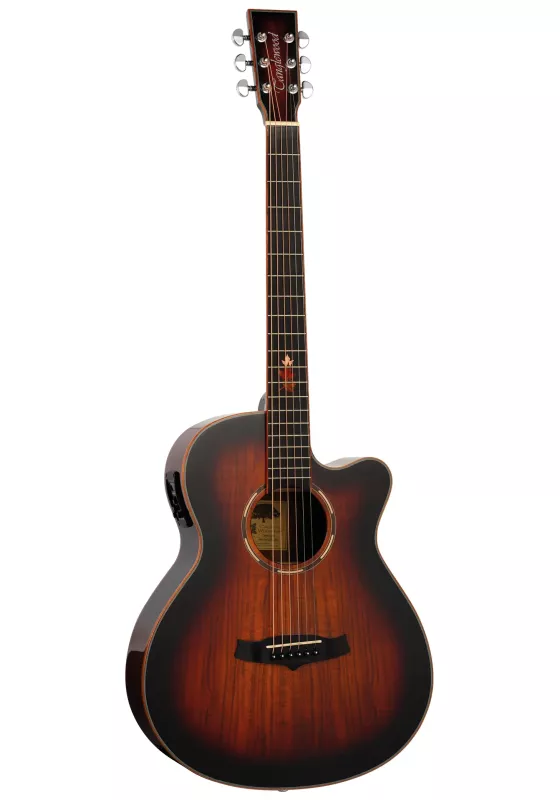 Электроакустическая гитара TANGLEWOOD TWX4 CEK