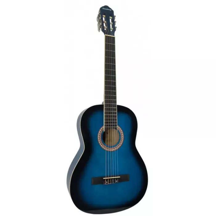 Акустична гітара Toneberg EC3900