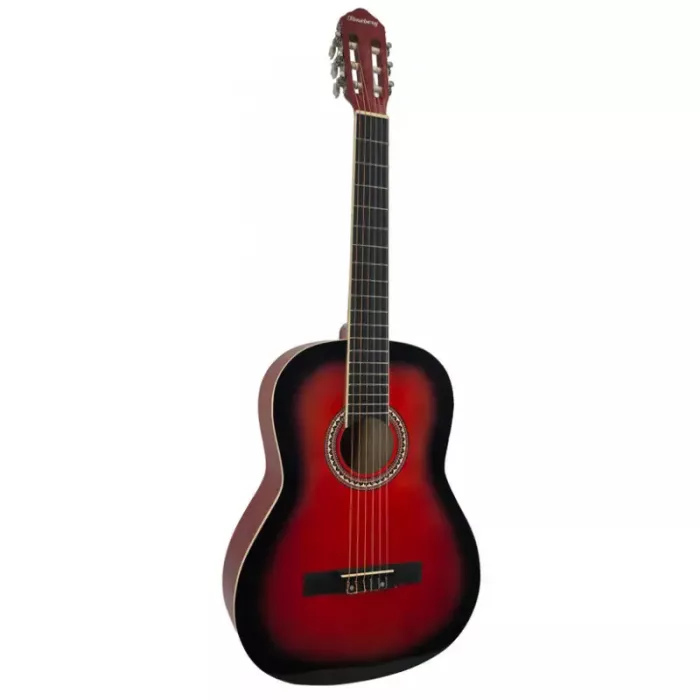 Акустична гітара Toneberg EC3900