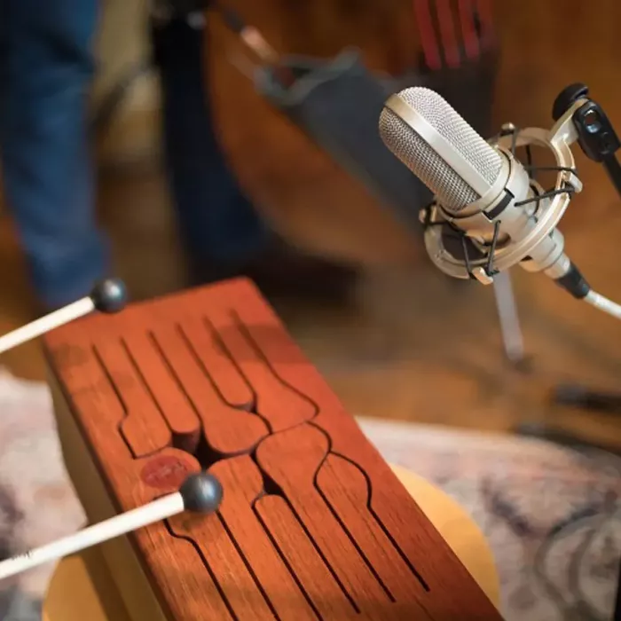 Audio-Technica AT4080 студійний мікрофон