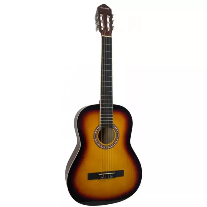 Акустична гітара Toneberg EC3900