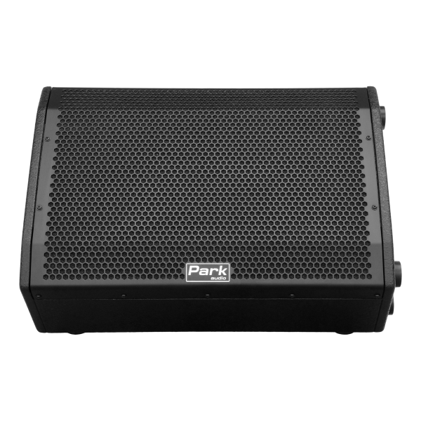 Park Audio DELTA5212 підлоговий монітор