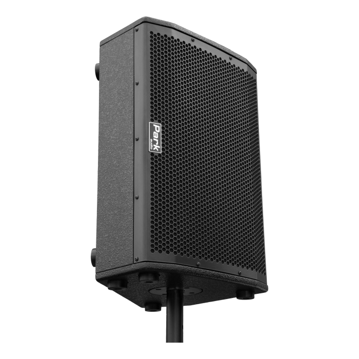 Park Audio DELTA5212-P активный напольный монитор
