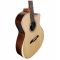 Акустична гітара Alvarez AG70WCEAR