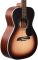 Акустическая гитара Alvarez RF26SSBAGP