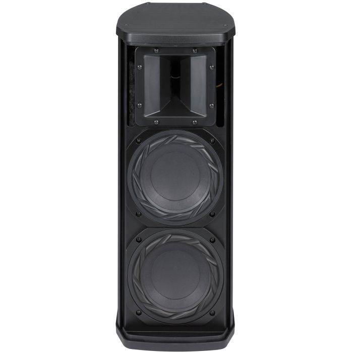 Акустична система Dynacord TS 200