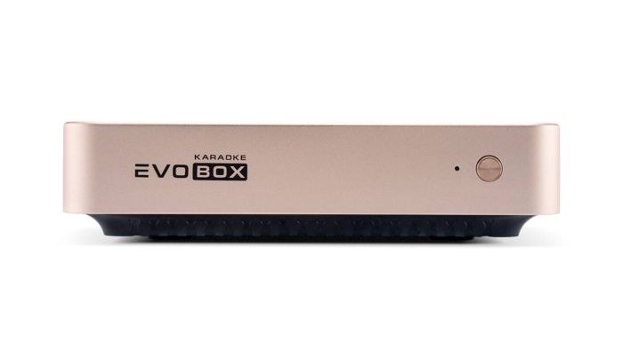 Караоке-система для дома EVOBOX