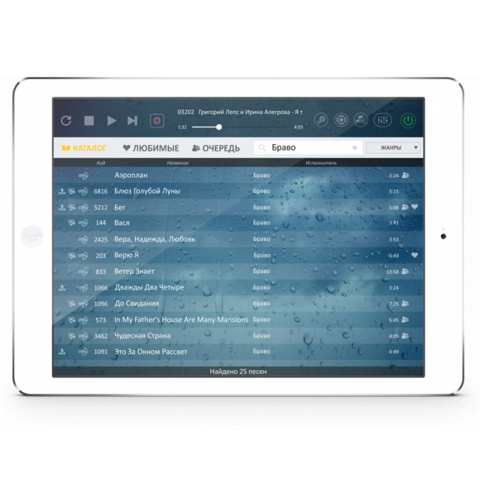 Караоке комплект Evolution Lite2 (модель 2019 года) + EvoSound