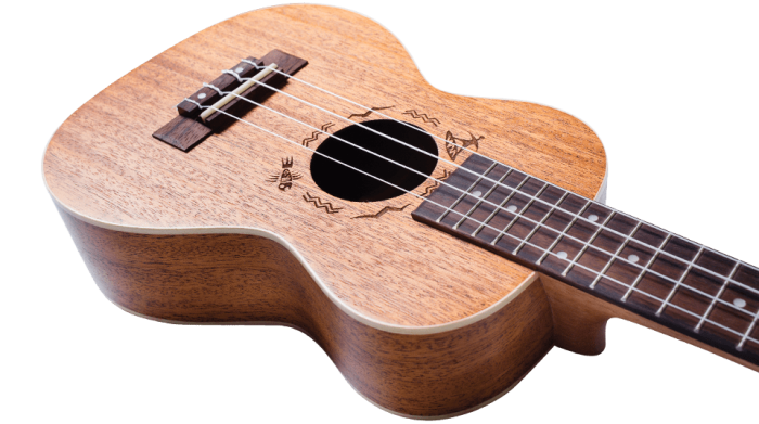 Укулеле Flight DUC323 MAH/MAH Concert
