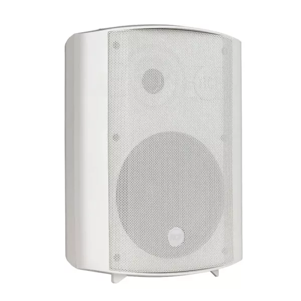 RCF DM61 Трансляционная акустическая система