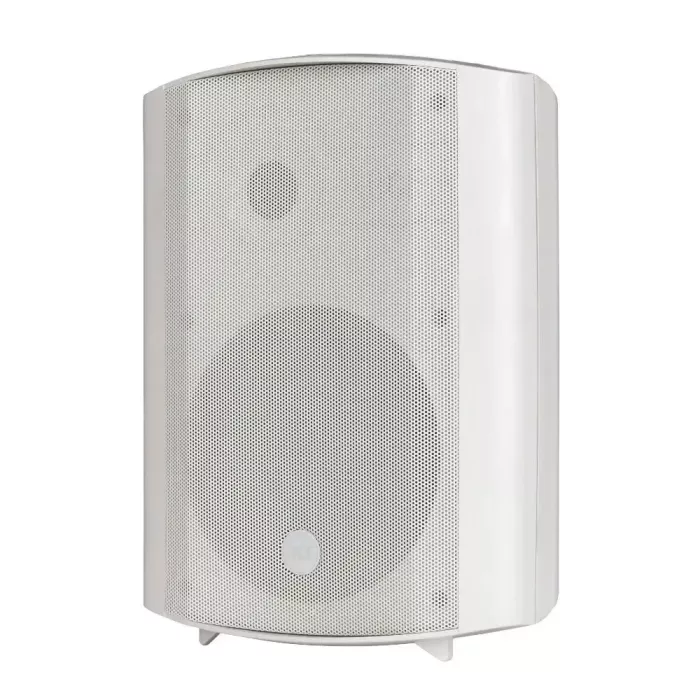 RCF DM61 Трансляционная акустическая система