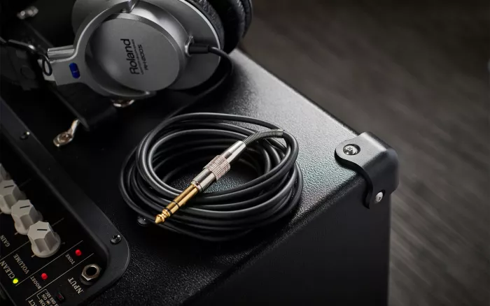 ROLAND RH-200S студийные наушники закрытого типа; Поворотные на 180 градусов чаши; Мониторинг одним ухом; В комплекте 6,3мм. адаптер-джек; Вес 200 г.